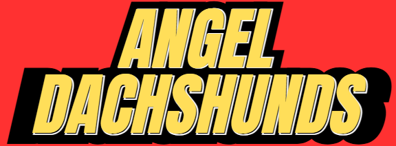 ANGEL DACHSHUNDS